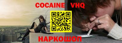 СК Новодвинск