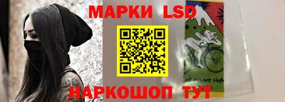 СК Новодвинск