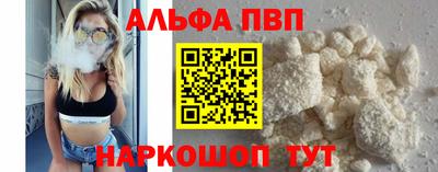 СК Новодвинск