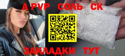 СК Новодвинск
