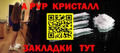 СК Новодвинск