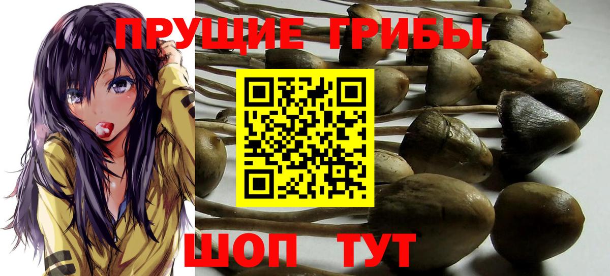 Галлюциногенные грибы Psilocybine cubensis  Псилоцибиновые грибы ЛСД  Вход с VPN  Асбест 