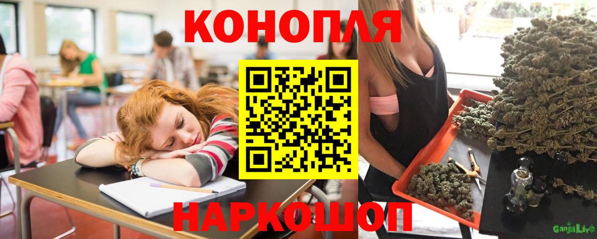 Бошки Шишки план Асбест